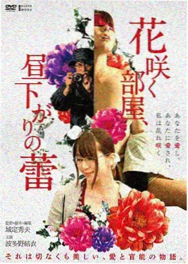 旧城谜案 高清剧集封面